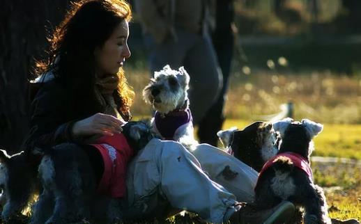 警惕這幾種疾病狗狗和人類會互相傳染