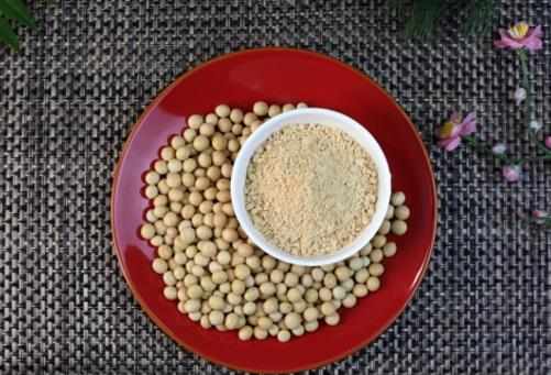 布偶貓吃什麼對毛髮好原來這些食物就可以