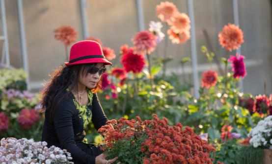 踏青賞花正當時賞花惹過敏六招防治過敏