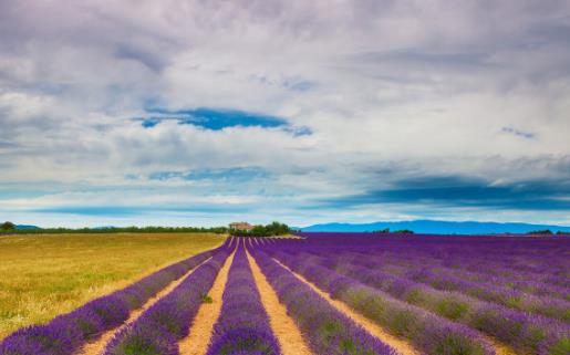 外出旅行必備急救箱解决突發狀況最好的方法