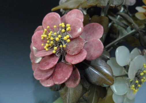 玉樹花與家居風格的搭配-玉樹花的風水學應用