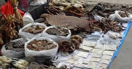 旅遊出國去哪裡？小眾獨特神聖小猛拉讓你感受异域情