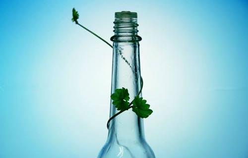 花露水不能驅蟑螂花露水的主要作用