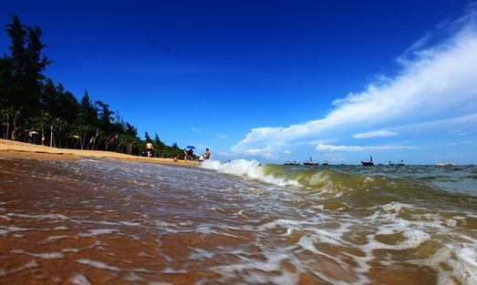 三娘灣海豚的故鄉與天堂