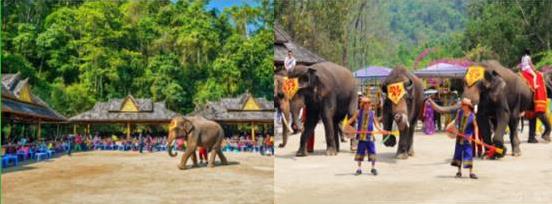 七彩遊記西雙版納，意外前往緬甸小猛拉