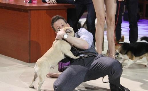 封锁狗撲人的妙招用最少的時間和精力解决狗撲人