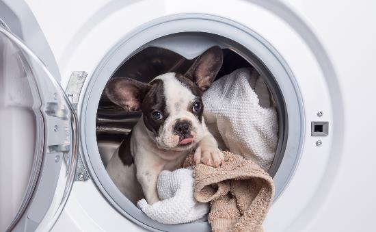 教你家電菜鳥變高手如何正確挑選適合的洗衣機