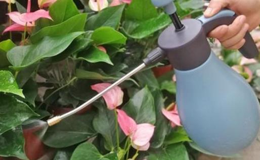 養花澆水過程中需要掌握的小竅門扣水和回水的區別