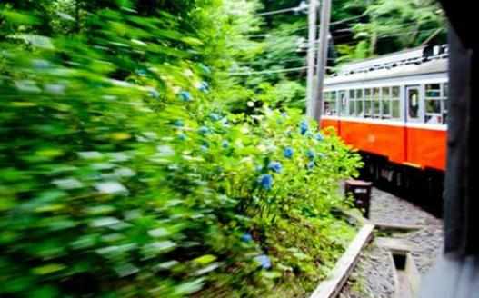 出境旅遊的自我保護避免捲入不必要的麻煩