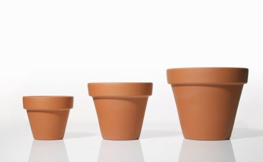 養花時花盆大小和深淺的選擇教你在養花路上少走彎