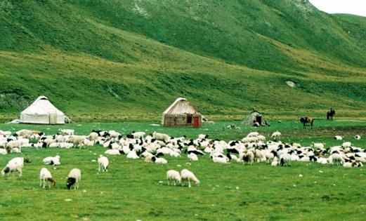 沒到過聖彼德堡就不算真正去過俄羅斯