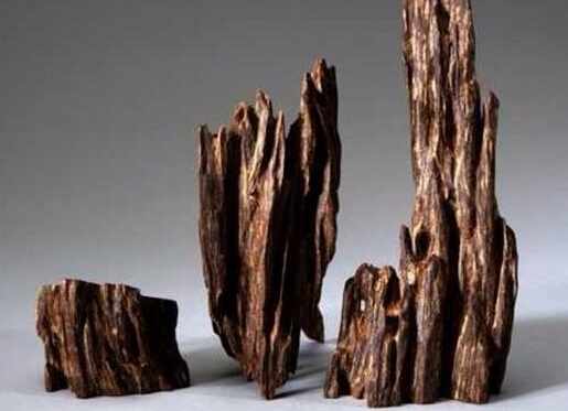 沉香木的鑒別-沉香木的介紹