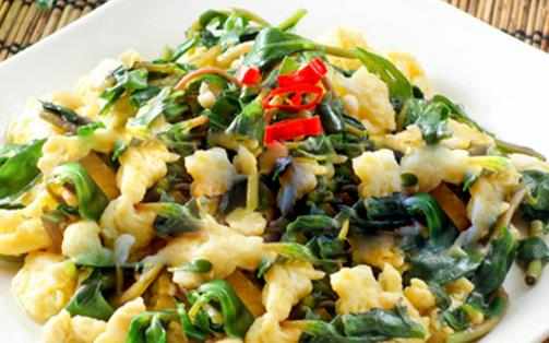 馬齒莧作用大花盆裏栽一棵觀賞食用都不錯