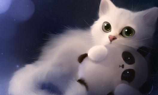 貓糧的選購技巧給猫咪吃什麼最好?