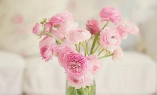 如何讓鮮花長開不敗？