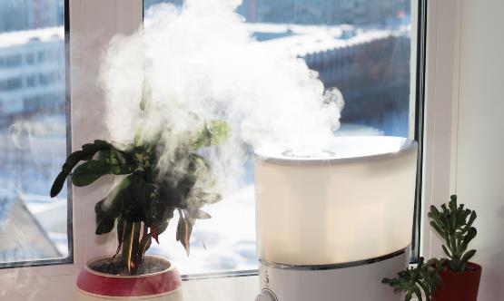 加濕器的日常保養