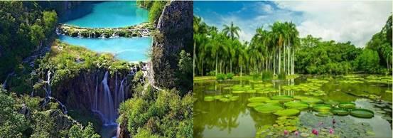 七彩遊記西雙版納，意外前往緬甸小猛拉