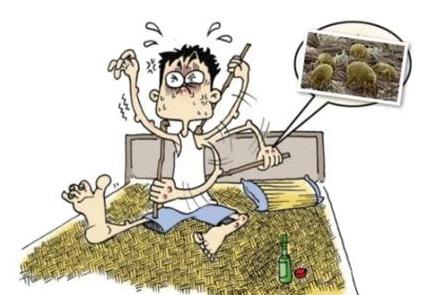 家裡有蟎蟲危害大清除塵蟎的六個小妙招