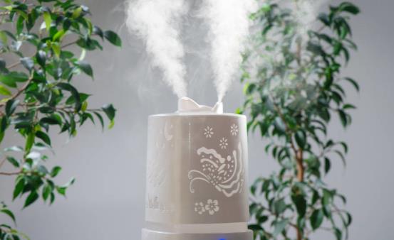 嘴唇易乾裂上火怎麼辦正確使用加濕器可改善皮膚乾燥狀況