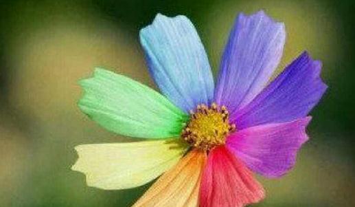 秋季最時尚的搭配你都會嗎？