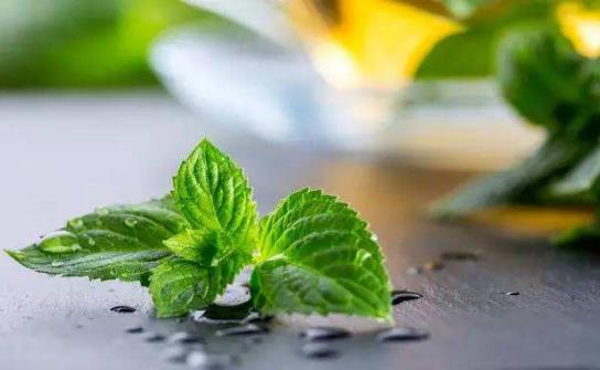 國外護理人員提供的生活妙招薄荷味可以除臭