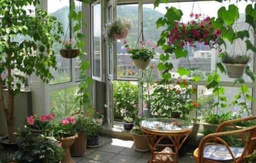都市家庭陽臺養花給花提供一個適合生長的環境