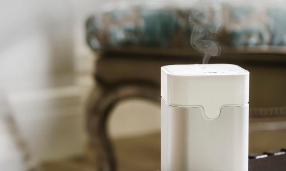 嘴唇易乾裂上火怎麼辦正確使用加濕器可改善皮膚乾燥狀況