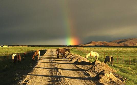 阿裡一個讓你過癮的地方
