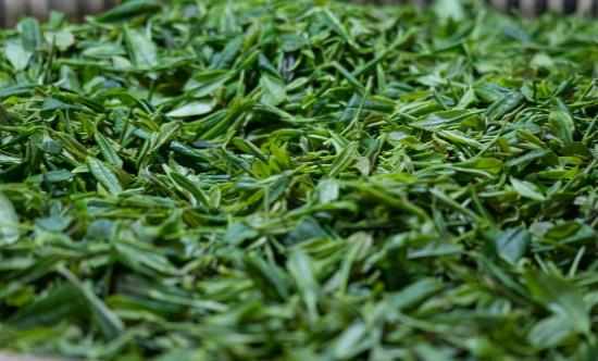 喝剩下的茶葉有什麼日常妙用巧用茶渣解决生活中的小問題