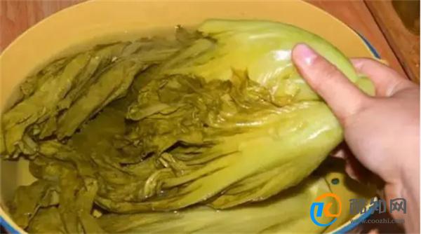 腌酸菜 别再用清水腌 牢记3个诀窍 酸爽脆嫩鲜美 坛子不生花