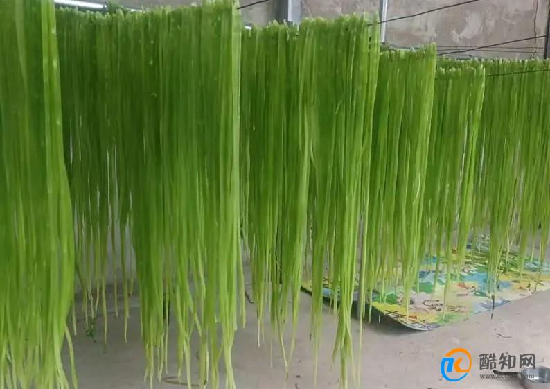 贡菜用开水泡还是冷水泡