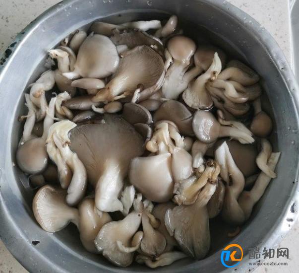 炒蘑菇需要焯水吗